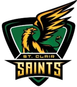 SCS_Logo_COLOUR-removebg-preview_1